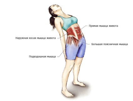 Intinderea abdominale muschii, obliques, mușchii rstyagivaem, culcat, în picioare, așezat,