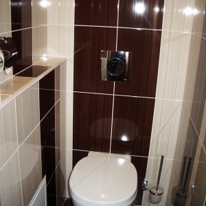 repararea toaletă, fotografie, exemple de proiectare și design, baie renovat, articole, lecții, video (Design) reparații de toaletă, fotografie, exemple de proiectare și design, renovate baie, articole, lecții, materiale video,