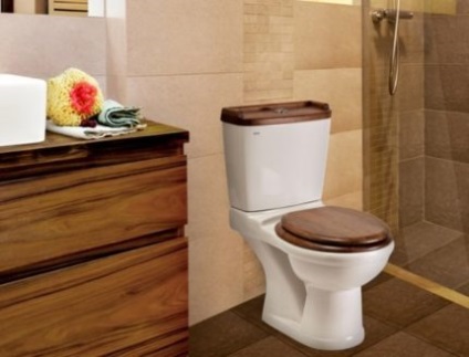 Тоалетни типа седалки, компактен, с повдигач, скъпа, как да намерите и замените (снимки видео)