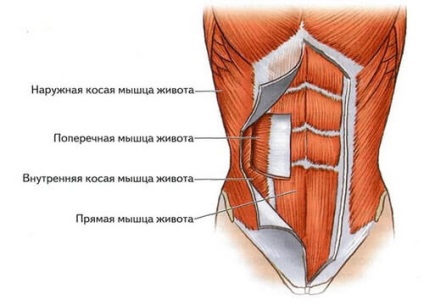 burtă vacuum