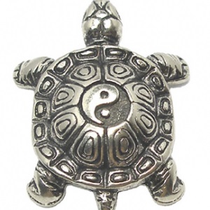 Toate mascota Turtle, secretwoman (partea de vest a camerei) Toate mascota Turtle, secretwoman
