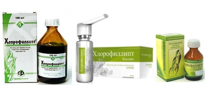 Chlorophyllipt „- indicații și instrucțiuni de utilizare, preț, analogi, comentarii