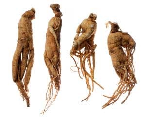 De ce să folosiți ginseng rădăcină în medicina populară