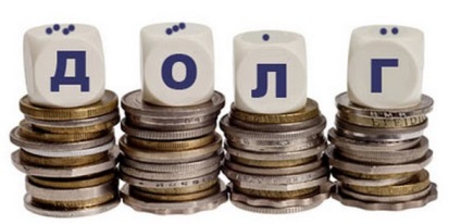 Acoperire a Serviciului Datoriei Ratio (nu va placut) Rata serviciului datoriei
