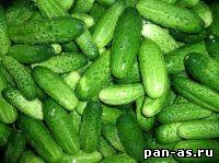 Ban al (verovochek deasupra stick) Ban al