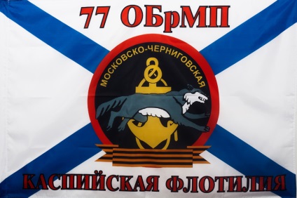 O parte din infanteriștii marini români (brigadă marin separat) O parte din România Marine