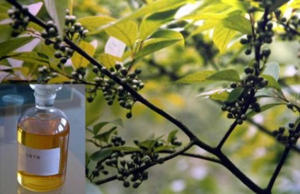 Ce se tem de gândaci - hidrofug efectivă (respingător) Ce se tem de gândaci - respingător eficient