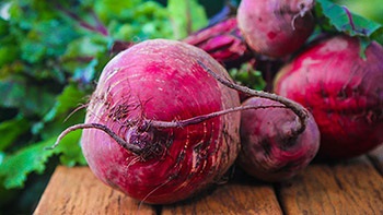 Pentru sfecla au fost dulci (cultivarea sfeclei de dulce de udare de îngrijire sare) Pentru sfecla au fost dulce