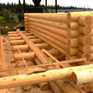 Ce trebuie să știți pentru construcția de case din lemn (lemn) Ce trebuie să știți pentru construcția de case din lemn