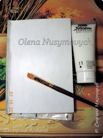 Decupaj jurnal (acoperit cu două straturi) Decupaj jurnal