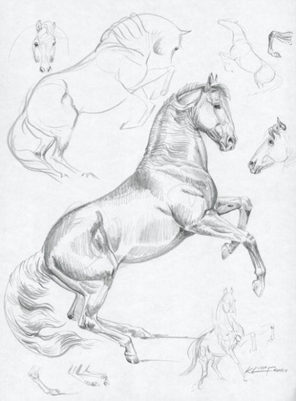 Cum se fac caii Breyer (cai de model realist) Cum caii sunt Breyer