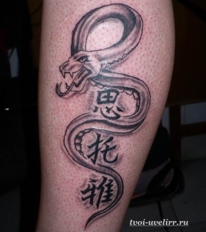 Kanji tatuaj (tatuaj caractere chinezești) kanji tatuaj