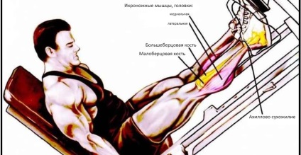 Cum de a construi interiorul gambei Sports Academy (tibia pompă) Cum de a construi interiorul Shin Academiei de Sport
