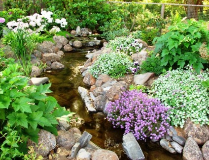 Cum de a ridica de masă Creek naturale pe ideile plot și punerea în aplicare a acestora (naturale) Cum de a ridica de masă Creek naturale pe ideile de complot și punerea lor în aplicare