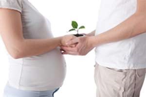 Cum de a îmbunătăți fertilitatea (grup de alimente) Cum de a îmbunătăți fertilitatea