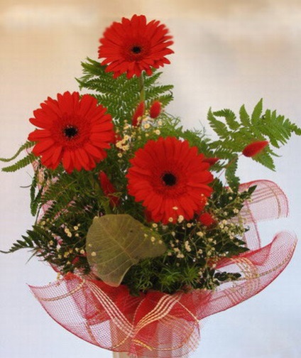 Cum de a face un frumos buchet de trandafiri (gerbera) Cum de a face un frumos buchet de trandafiri