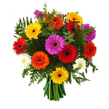 Cum de a face un frumos buchet de trandafiri (pentru a face) Cum de a face un frumos buchet de trandafiri