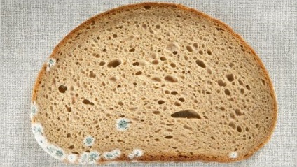 Cum sa faci o pâine vechi stătut în cuptorul cu microunde moale și proaspătă (proaspete) Cum sa faci o stătut pâine stătut în cuptorul cu microunde moale și proaspătă
