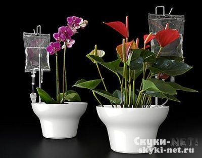 irigare prin picurare pentru plante în ghiveci (în interior) irigare prin picurare pentru plante în ghiveci