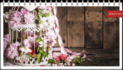 Cage pentru lăstari (introdusă apoi în apropiere) Cage pentru fotografie impusca