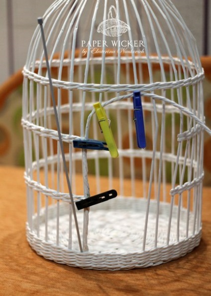 Cage lăstari (inserat în apropierea apoi urmează) Cage pentru fotografie impusca