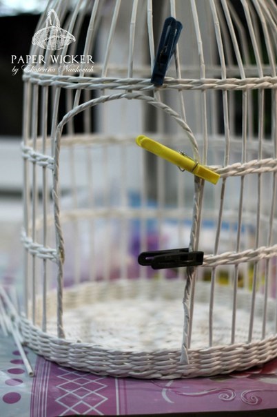 Cage lăstari (inserat în apropierea apoi urmează) Cage pentru fotografie impusca