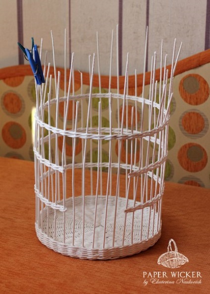 Cage lăstari (inserat în apropierea apoi urmează) Cage pentru fotografie impusca
