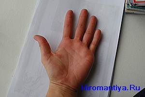 carte Chiromantia (pagina 45) (palmistry) Chiromantia carte (pagina 45)