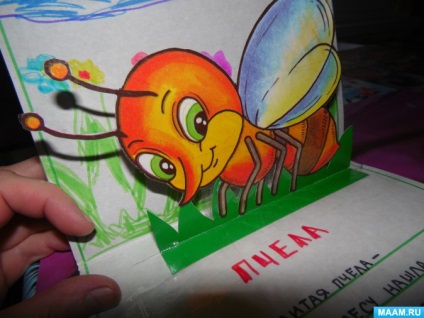 Book-copil „Știi de insecte“ (pentru părinți) Book-copil „Știi de insecte“