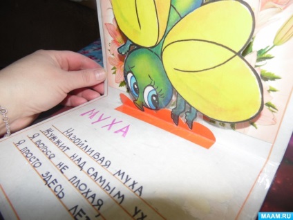 Rezervați-copil (grădinițe), „Știi de insecte“ Book-copil „Știi de insecte“