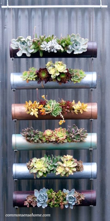 Componența cactuși și suculente în proiectarea de paturi de flori - idei și sfaturi, idei mele pentru gradina si gradina (cactus) Componența cactuși și suculente în proiectarea de paturi de flori - idei și sfaturi pentru a da ideile mele și grădină