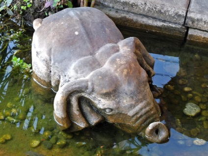 Frumos de amenajare a teritoriului cafenele Amazonului - iaz ornamental, figurine de grădină, tehnici de decorare (gradina) amenajare a teritoriului cafenele frumoase amazon - iaz ornamental, figurine de grădină, tehnici de decorare
