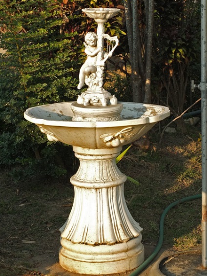 Frumos de amenajare a teritoriului cafenele Amazonului - iaz ornamental, figurine de grădină, tehnici de decorare (cafe) amenajare a teritoriului cafenele frumoase amazon - iaz ornamental, figurine de grădină, tehnici de decorare