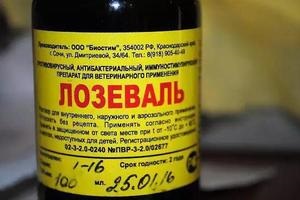Scurt ghid pentru utilizarea independentă a lozeval medicament pentru păsări de diferite specii (păsări) Scurt ghid pentru utilizarea independentă a lozeval de droguri pentru păsări de diferite specii