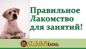 Tratează pentru formare - și o pregătire (formare) Tratează pentru formare - și unele de gătit