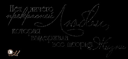Materiale pentru decorare nunta album, lezust () Materiale pentru decorare nunta album, lezust