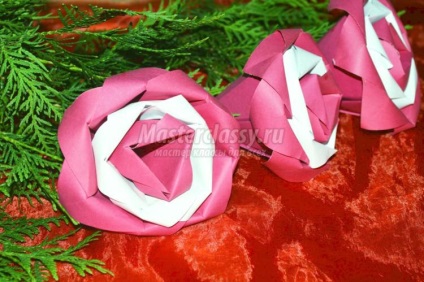 Origami modulare (trandafiri origami modular) origami modular