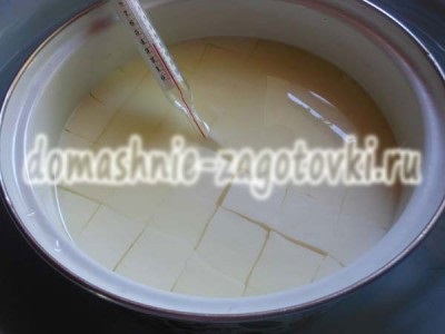 Mozzarella la domiciliu, rețeta (reteta) Mozzarella la reteta acasă