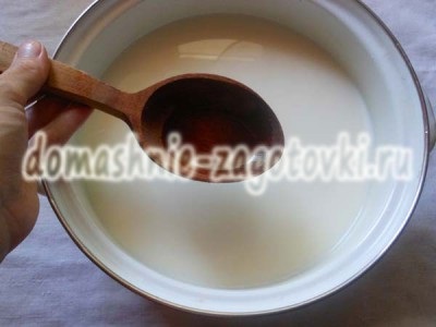 Mozzarella la rețetă acasă (acasă) Mozzarella la reteta acasă