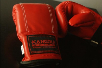 Muay viață - cum de a alege pentru Thai mănuși de box (de viață) Muay viață - modul de a alege mănuși de box Thai