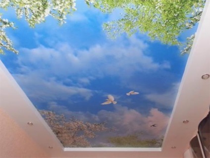 Tavan suspendat cu imprimare foto, care design-ul este cel mai bine cerul înstelat sau flori, avantajele lucios (stele) Tavan suspendat cu imprimare foto, care este cel mai bun design de cer sau flori înstelat, beneficii lucioase