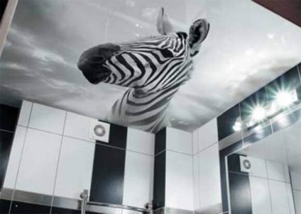 Tavan suspendat cu imprimare foto, care design-ul este cel mai bine cerul înstelat sau flori, avantajele lucios (cer) Tavan suspendat cu imprimare foto, care este cel mai bun design de cer sau flori înstelat, beneficii lucioase