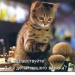 Nu mânca și de a lua de grăsime este motivul pentru care cei care nu mananca nimic, nu pierde in greutate (acolo) Nu mânca și de a lua de grăsime este motivul pentru care cei care nu mananca nimic, nu pierde in greutate