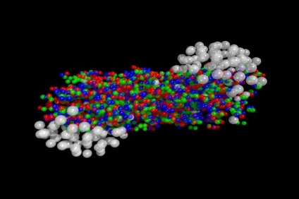 Am nevoie de o gravitate cuantică, teoria corzilor, știrile științifice în (cuantumul) Am nevoie de o gravitate cuantică, teoria corzilor, știri știință