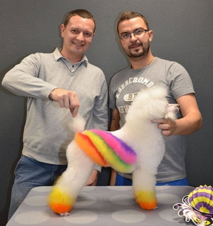câini de colorat care și cum să picteze (câini vopsea cum) câini de colorat care și cum să picteze