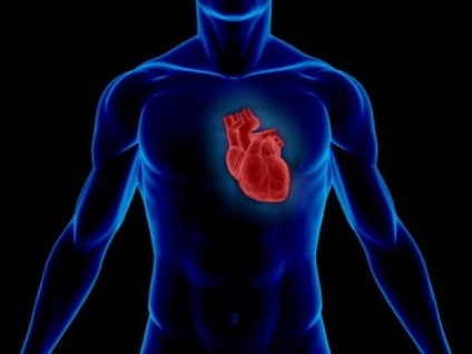 Clasificarea tumorilor cardiace, simptome, tratament (tumora) Clasificarea tumorilor cardiace, simptome, tratament