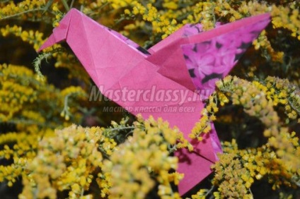 Origami pentru copii (colibri origami) Origami pentru copii