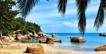 Odihnească-se în Thailanda în luna august - alegerea Pattaya, Phuket si Koh Samui (Thailanda concediu în luna august) Odihnească-se în Thailanda în luna august - alegerea Pattaya, Phuket si Koh Samui