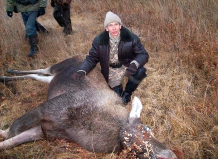 De vânătoare pentru elani „pe hohote“ (Moose) „La hohote“ vânătoare de elani
