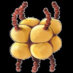 Parole de abur (abur) Parolele de la abur